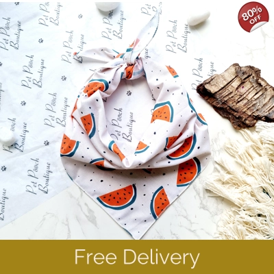 Watermelon Fruity Dog Bandana